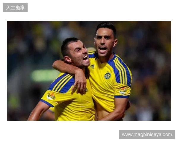 金冕加身王朝永铸!Vitality夺得PGL克卢日-纳波卡2026